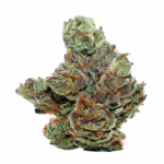 Zbliżenie na top marihuany Cannabis flos COSMA THC 20%, CBD ≤1%. Kwiat pokryty gęstą warstwą trichomów, w jasnych i ciemnozielonych odcieniach z pomarańczowymi włoskami. Widoczna krystaliczna struktura wskazująca na wysoką zawartość kannabinoidów i terpenów. Idealny do zastosowań medycznych.