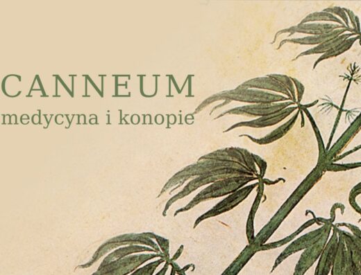 Medicanneum, Kraków — klinika konopna
